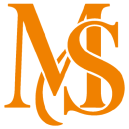 Magical Style Logo